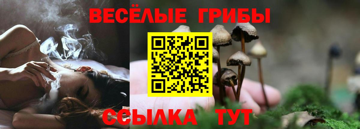 Псилоцибиновые грибы Cubensis  даркнет сайт  Вход с VPN  Ржев  Псилоцибиновые грибы ЛСД 